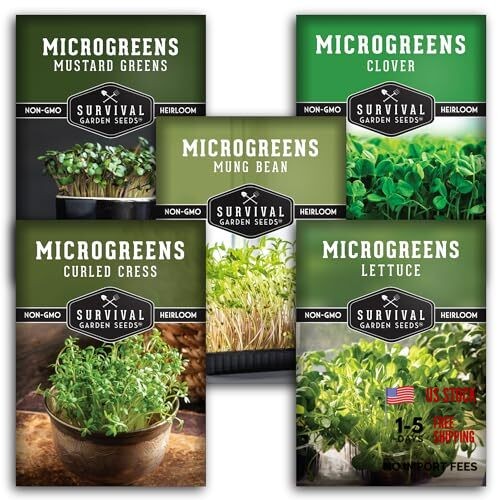Microgreens Seeds-Variety Pack for Sprouting – Mustard, Mung Bean, Curled 5