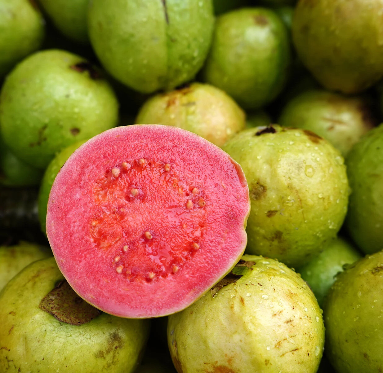 Red Guava and White Guava 100 seeds each variety fresh seeds organic.