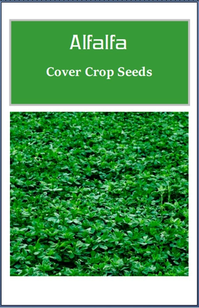 Alfalfa Cover Crop Seeds | NON-GMO | Heirloom | Fresh Garden Seeds
