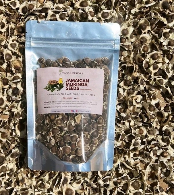 Jamaica Meringue bush