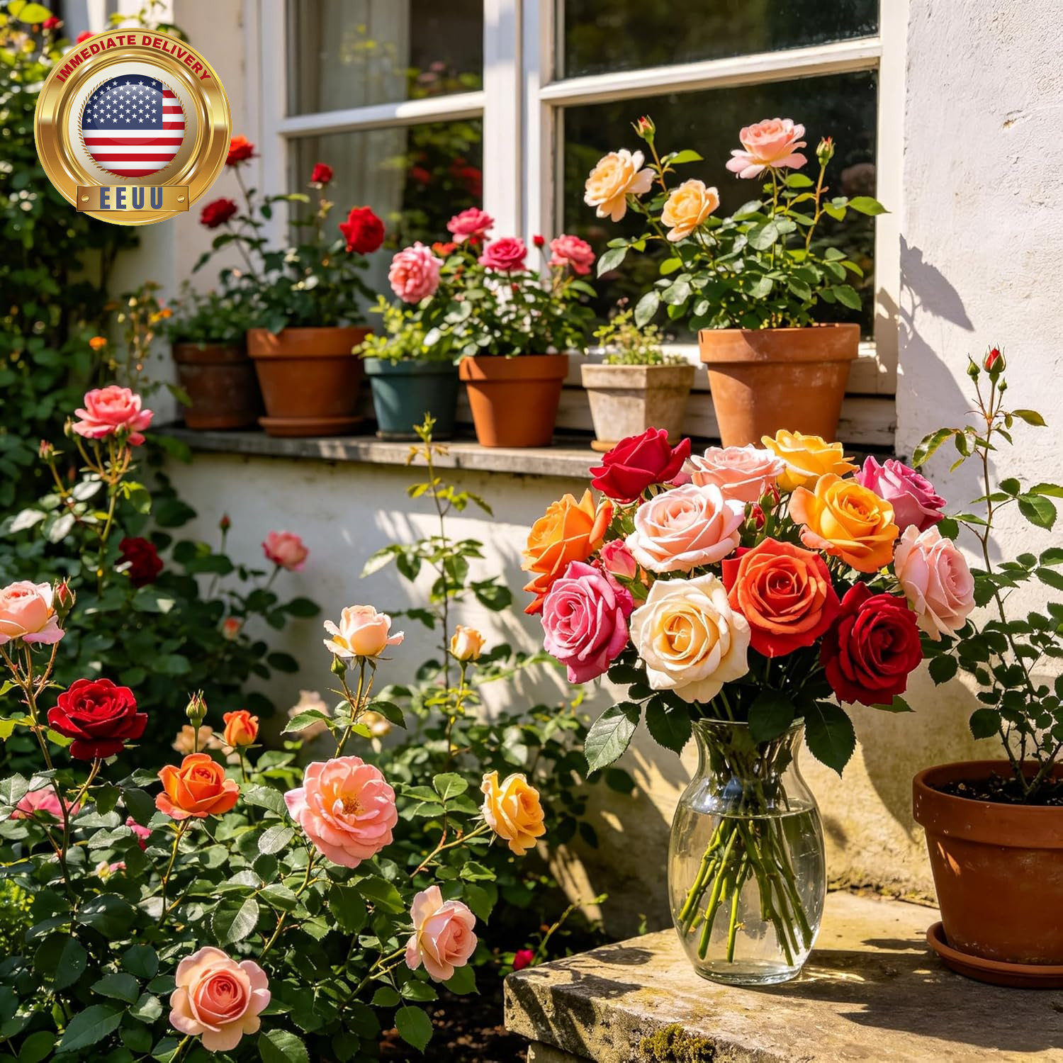 Carpetc 300+ Mixed Rose Seeds for Planting, Fragrant Perennial Shrub, Rosa Flowe