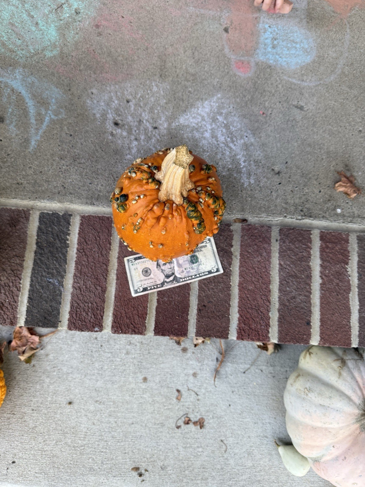 Seeds #14: Warty Goblin Orange/Green Pumpkin. Bumpy (10 ct)