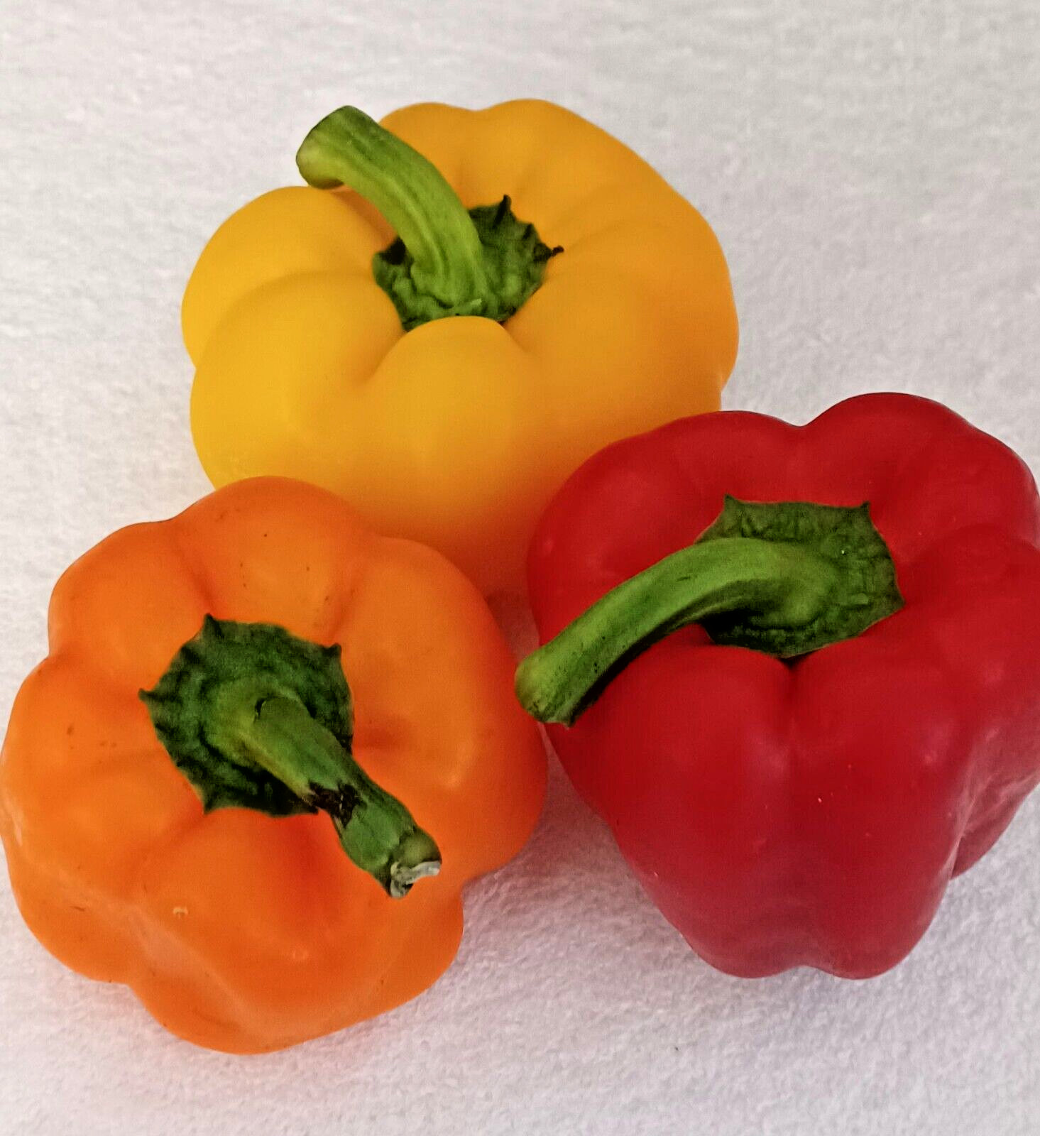 Red Yellow Orange Sweet Bell Pepper Mix 100+ Seeds Non GMO Organic