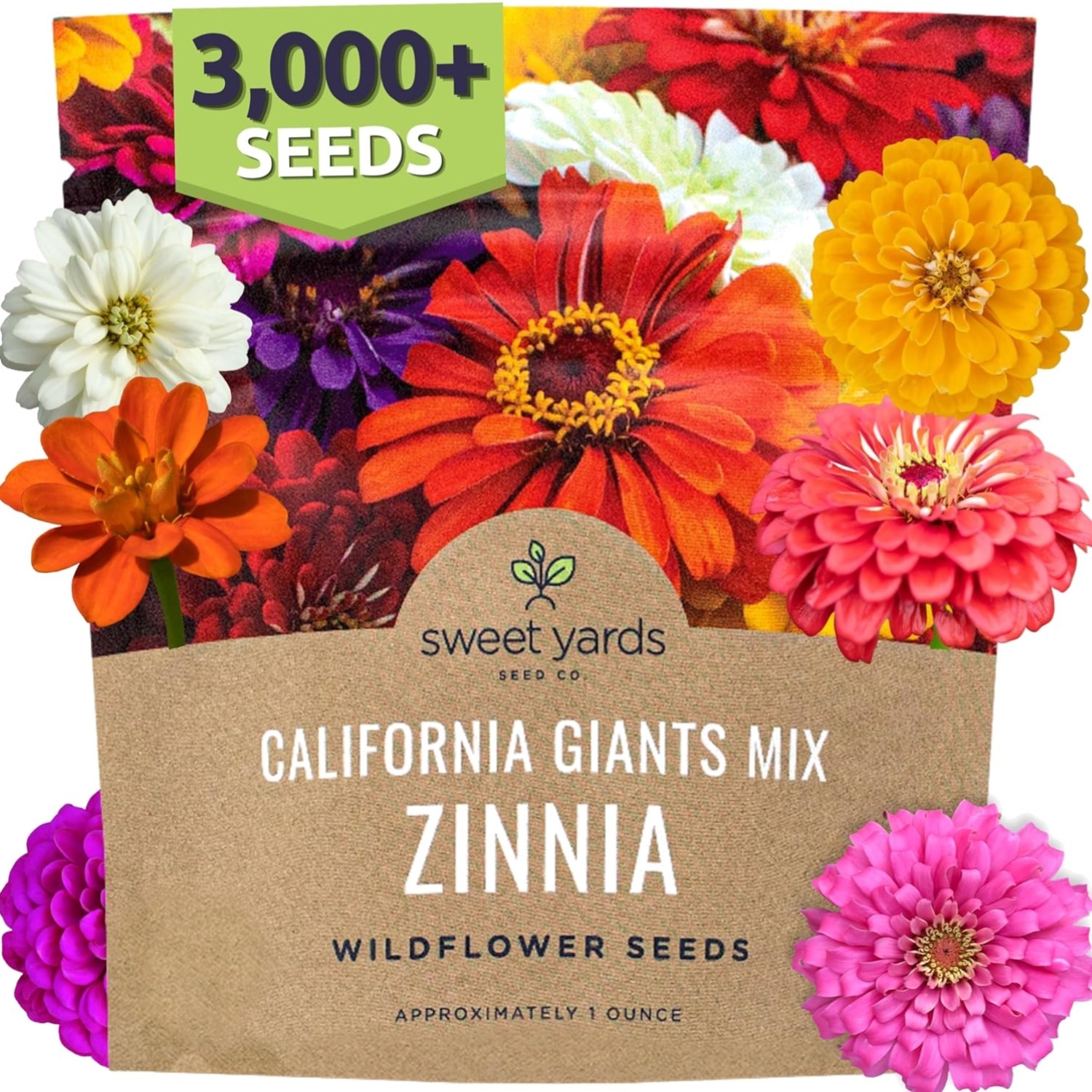 Zinnia Seeds 3000 Count Large 1 Ounce Packet Mixed Colors