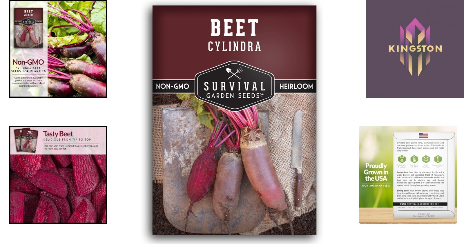 Heirloom Cylindra Beet Seeds – Compact, Disease Resistant, Sweet Flavor – 1 Pack
