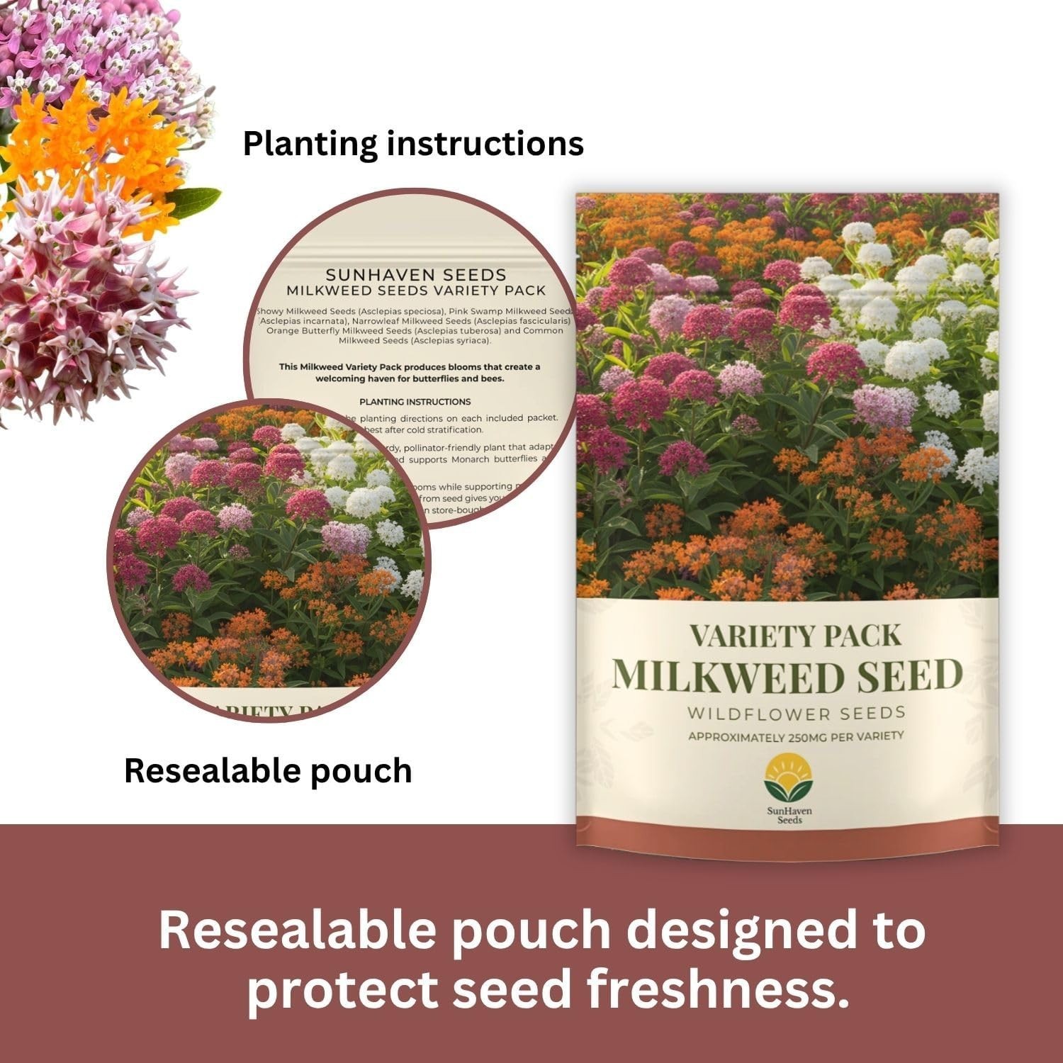 Native Milkweed Variety Pack – 5 Essential Species for Monarch Butterfly Gardens