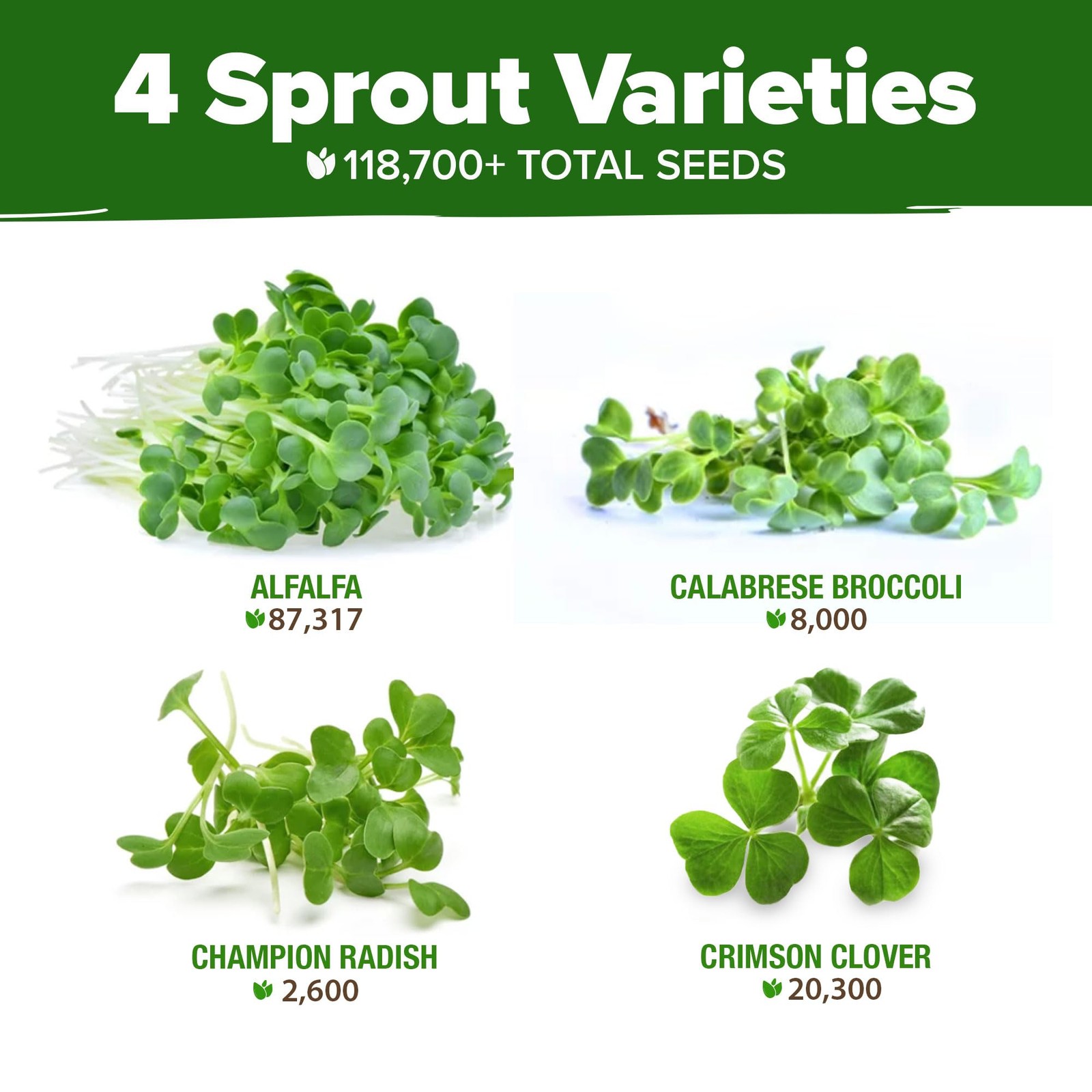 HOME GROWN Premium Sprouting Seeds Mix – Microgreens 118,200 Seeds for Indoor Gr