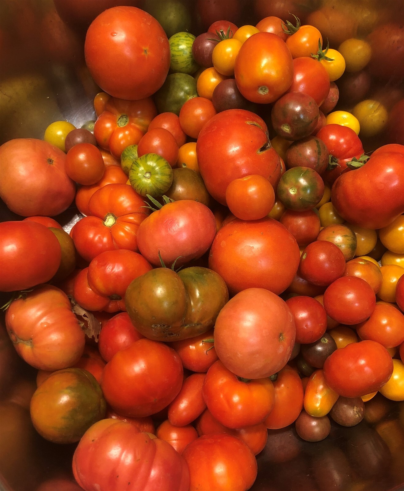 27 Varieties Organic Non-GMO Heirloom Tomatoes, 10/25/50/100 Seeds FREE SHIPPING