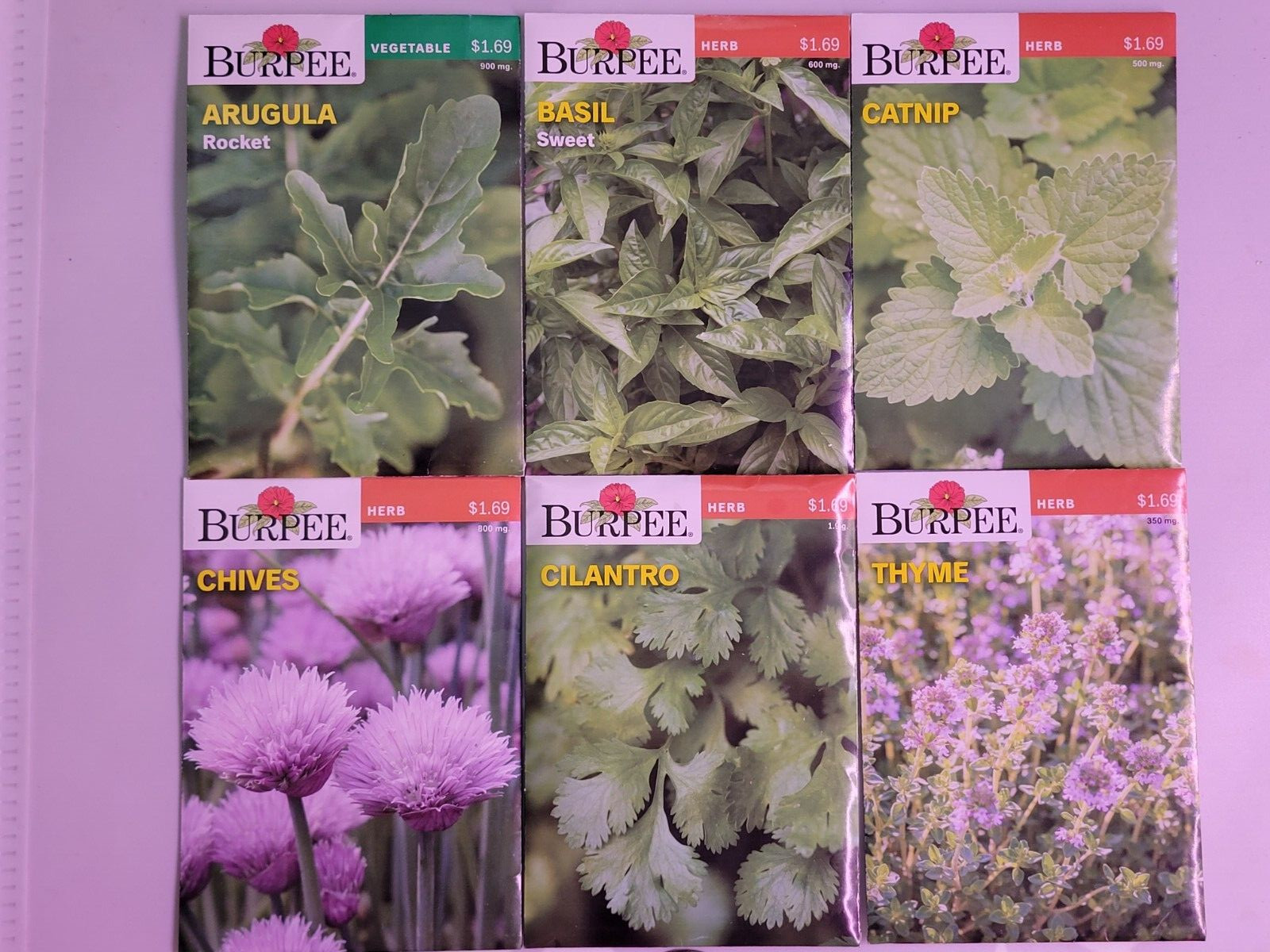 Burpee Herb Seed Assortment 1 (2021) New Sealed Inventory Guaranteed to Sprout