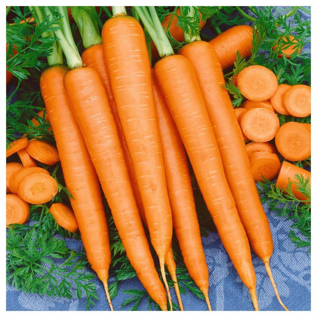 Tendersweet Carrot Seeds, Beta Carotene, Vitamin A, NON-GMO, FREE SHIPPING