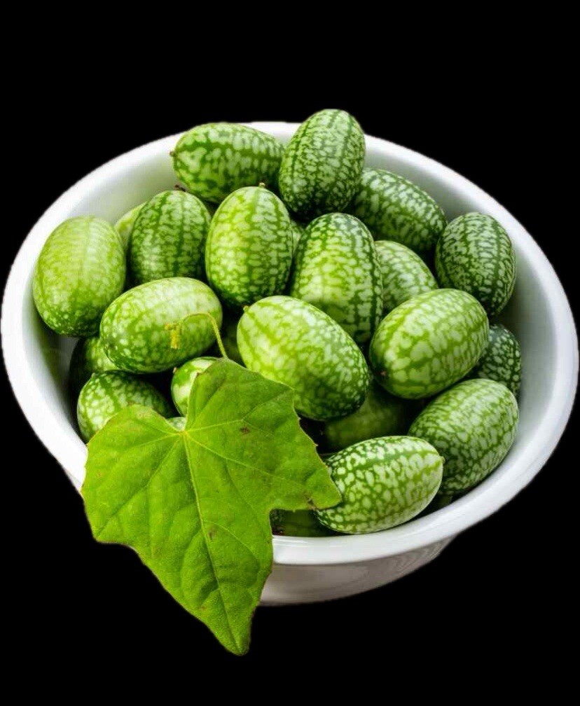15+ Cucamelon Seeds, Mouse Melon – Melothria Scabra Mexican Sour Gherkin Non GMO
