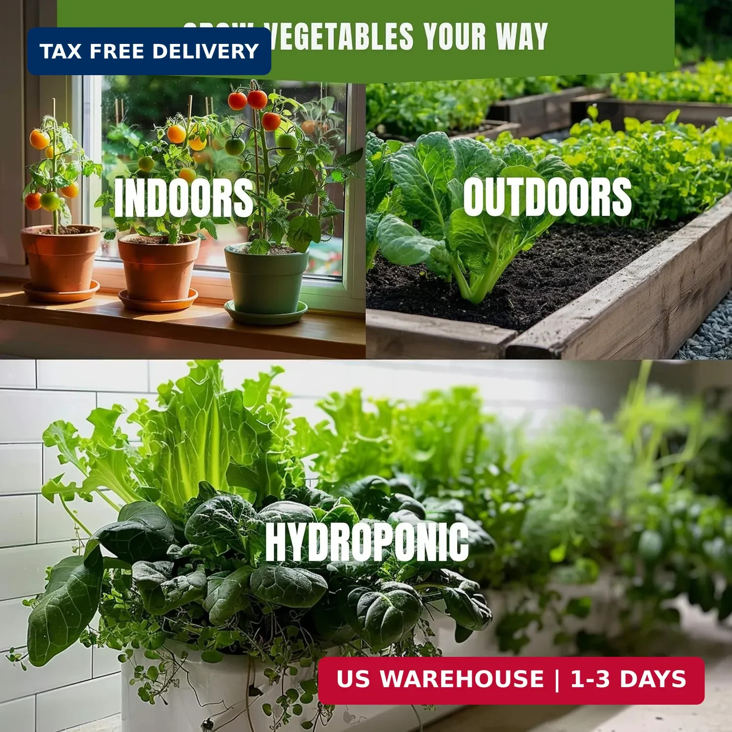 Vegetable Seeds Variety Pack – Tomato, Cucumber, Zucchini, Lettuce, Broccoli & C