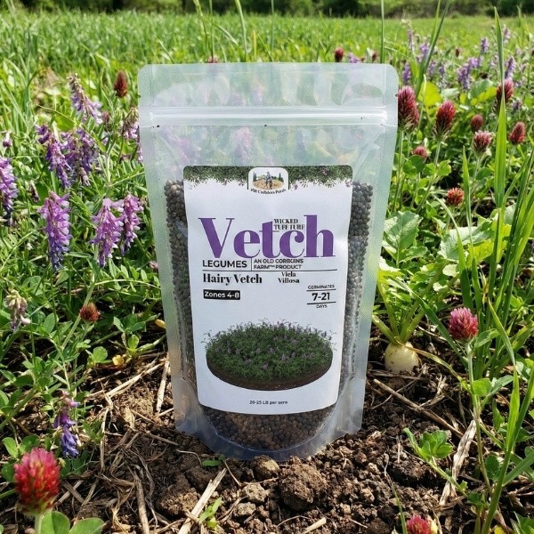 Old Cobblers Farm™ Wicked Tuff Turf Hairy Vetch Seeds – Cover Crop, Soil Builder