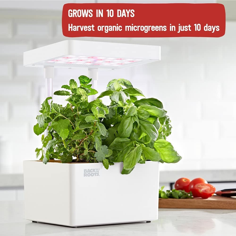 Hydroponic Grow Kit, Indoor (Matte White) Seeds Included Everything Included