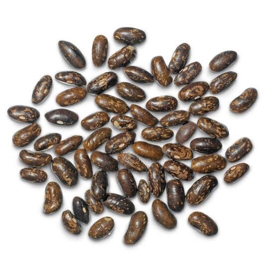 Green Bean Seeds,, NON-GMO,30 seeds