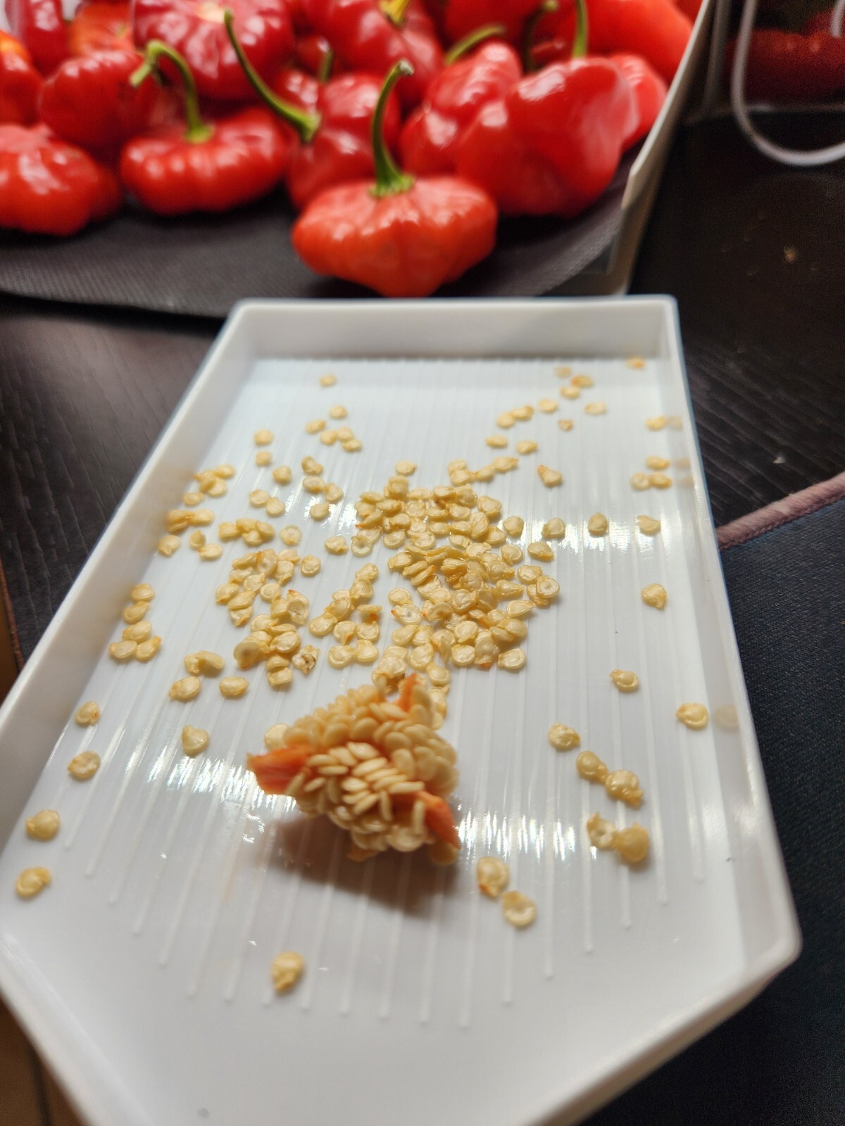 50 Seeds Combo Ají Dulce Grande + Ají Sabrosito, Puerto Rico, Sweet Pepper