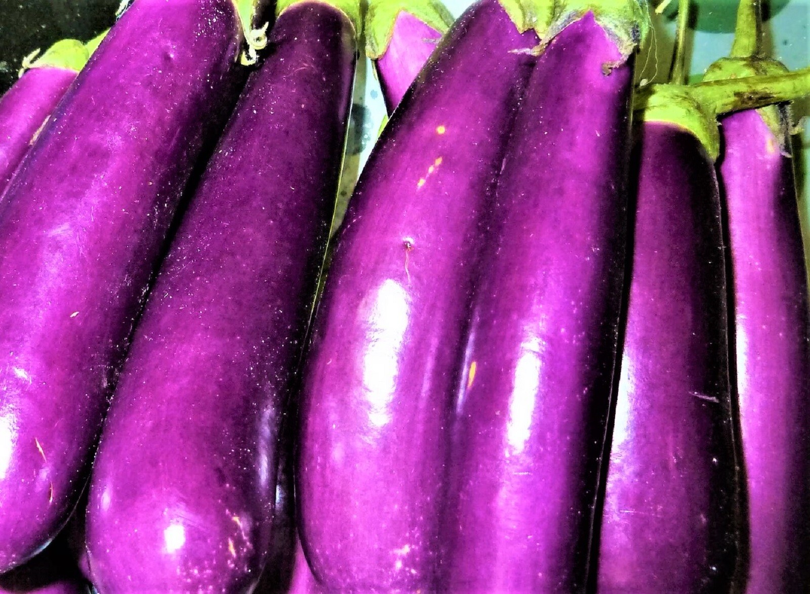 Long Purple Eggplant Seeds NON-GMO 100+ SEEDS BUY 4 ITEMS FREE SHIPPING