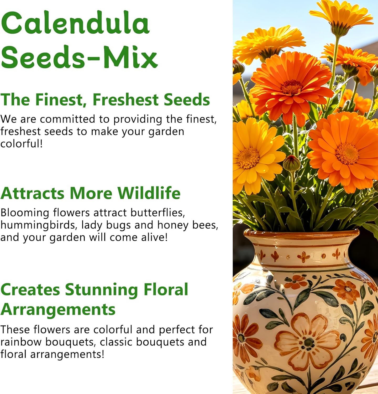 Calendula Seeds, Calendula Seeds for Planting Outdoor & Indoor, 4,000+ Pacific B