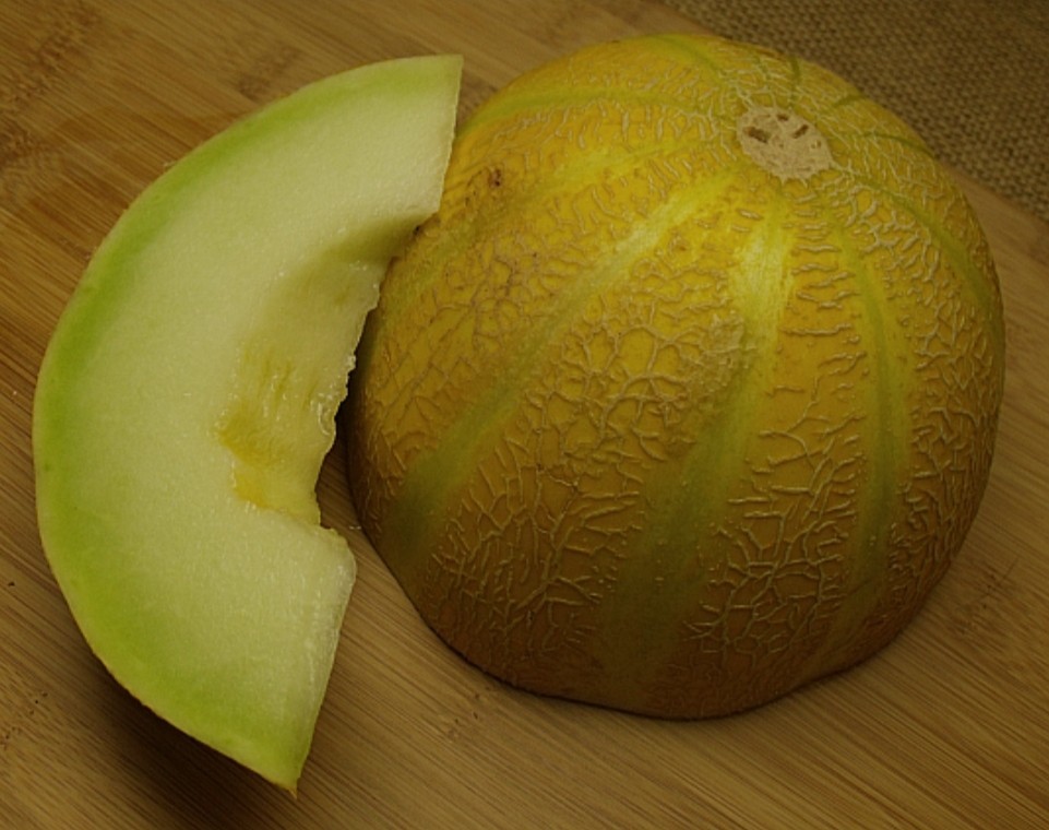 Lemon Drop Honeydew Melon Seeds 10 Organic Seeds RARE *Free Shipping*