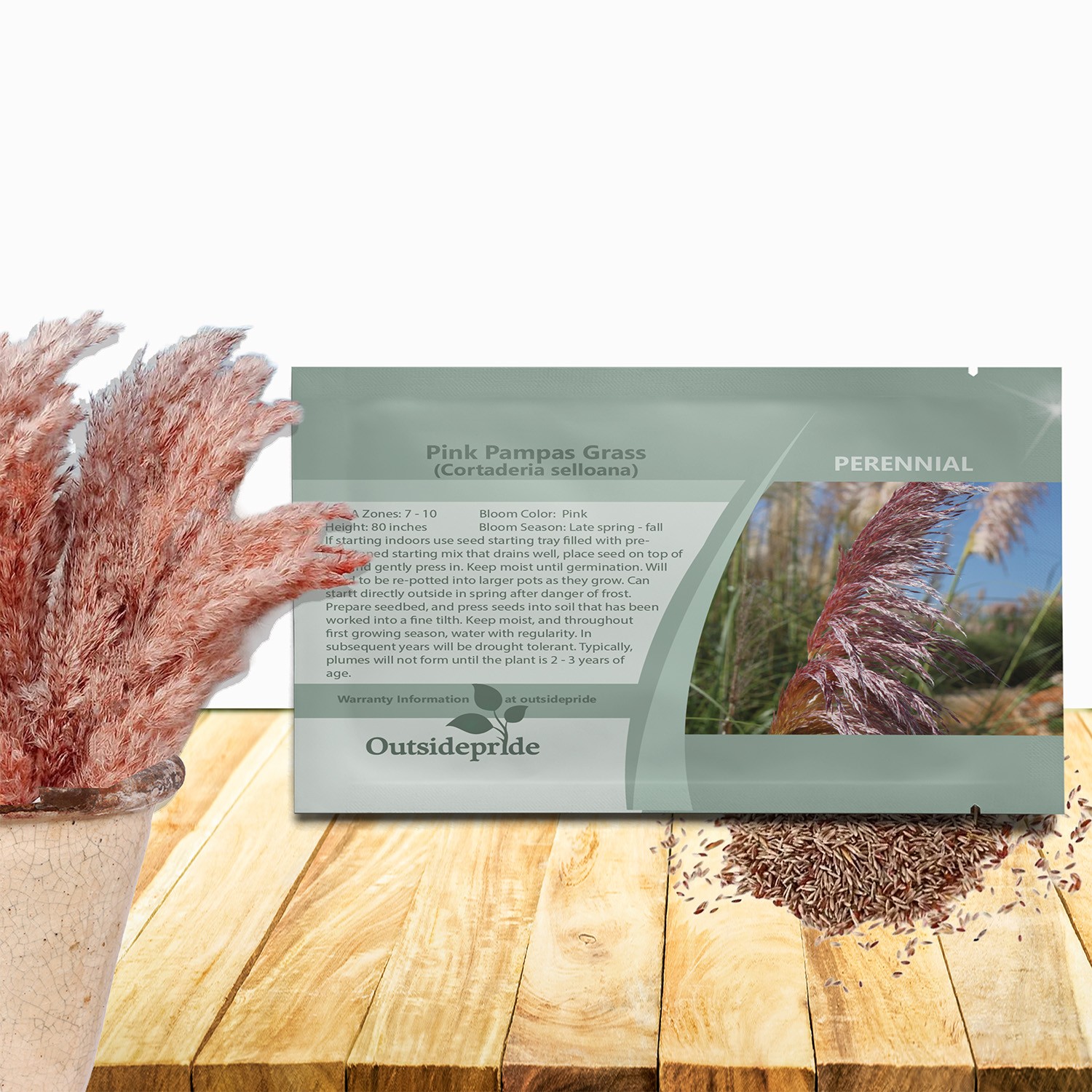 2000 Seeds Pink Pampas Drought Tolerant Ornamental Grass Plants Seed For