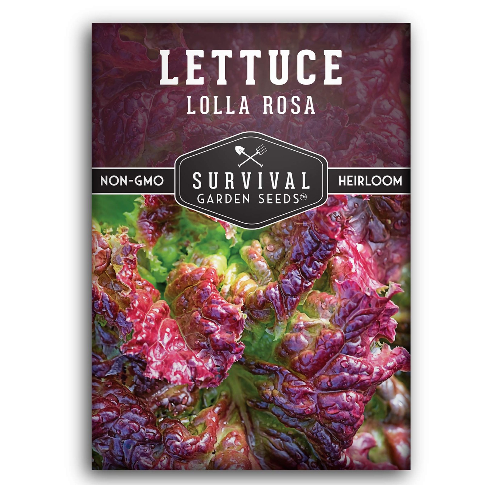 Lolla Rossa Lettuce Seeds – Heirloom Red Leaf, Cut-and-Come-Again – Ideal
