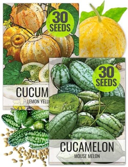 Cucamelon Seeds/Lemon Cucumber Seeds for Planting – Non Cucamelon + Lemon Cuke