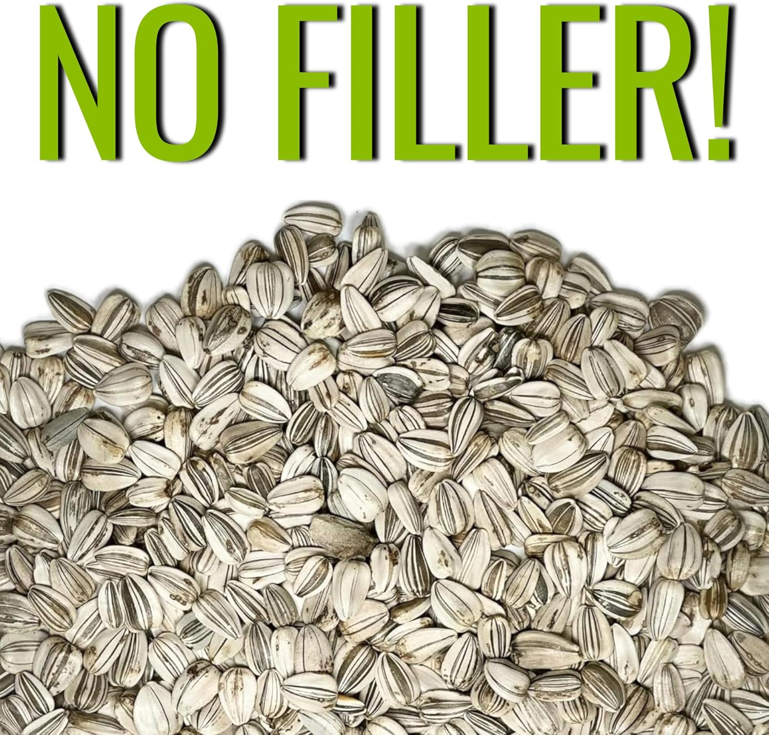 Mammoth Grey Stripe Sunflower Seeds | 600+ Heirloom Seeds Helianthus Annuus Non