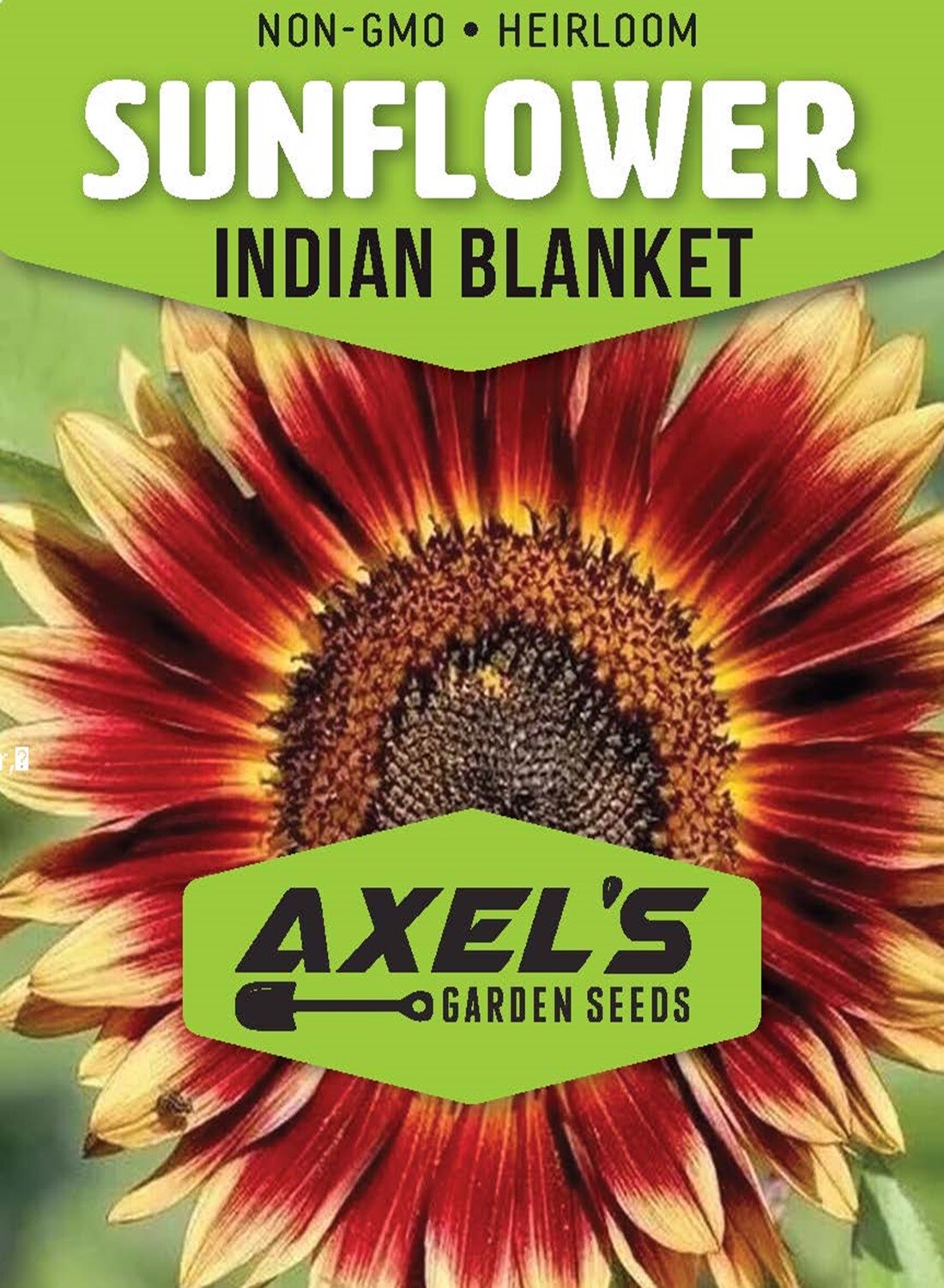Indian Blanket Sunflower Seeds – Native Wildflower Pollinators Heirloom Non-GMO