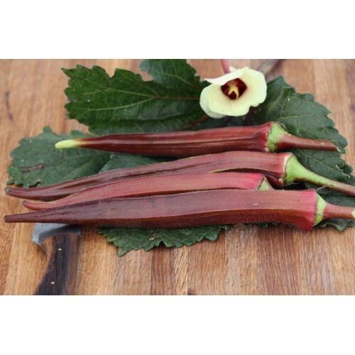 25+ Red Burgundy Okra Seeds – NON GMO — Heirloom — FRESH