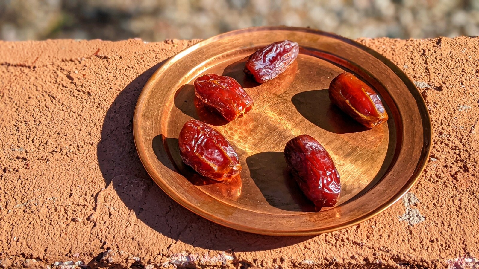 15 Medjool Date Seeds+ 5Dayri Date Palm Pits– 20Fresh SEEDS From Arizona