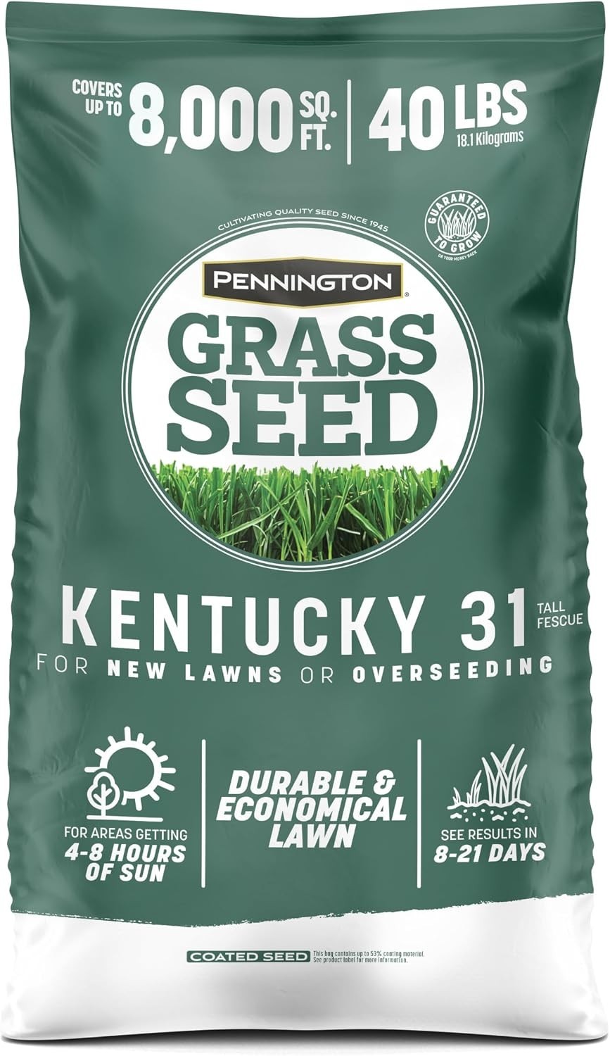 Thick Blades for Summer: Tall Fescue Grass Seed