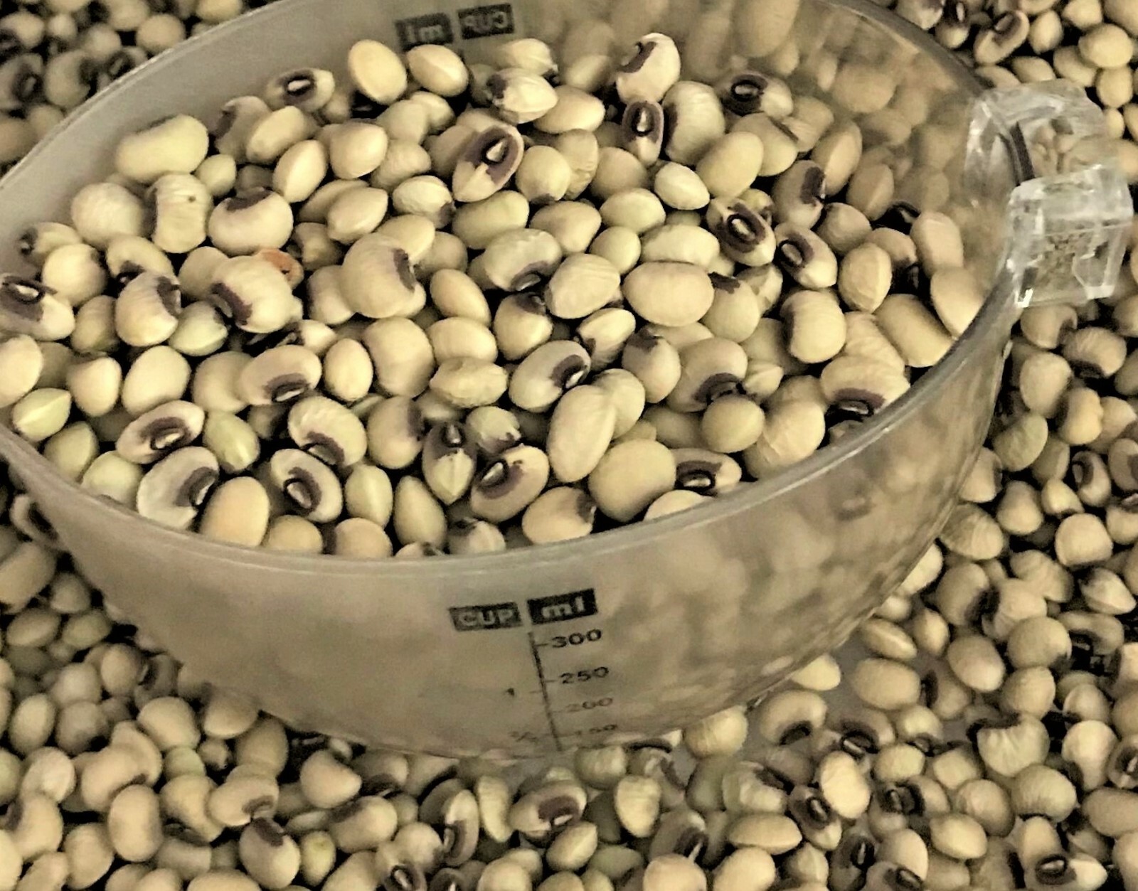 TOP PICK Pinkeye Purple Hull Peas 1000+~8oz Seed Southern Cowpea Germination 80%