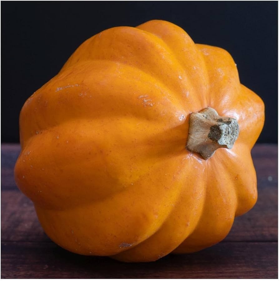 Table Gold Acorn Winter Squash Seeds, NON-GMO, Variety Size Packets, FREE SHIP