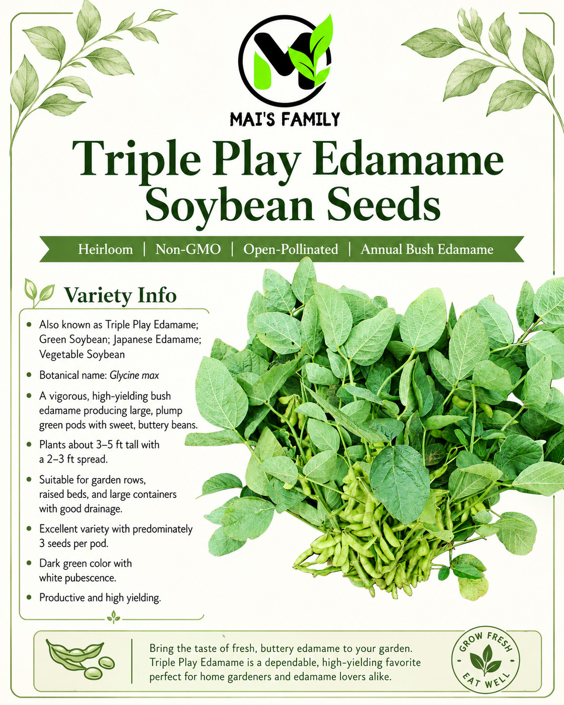 Triple Play Edamame Soybean Seeds Heirloom Non-GMO Open-Pollinated 75 Days