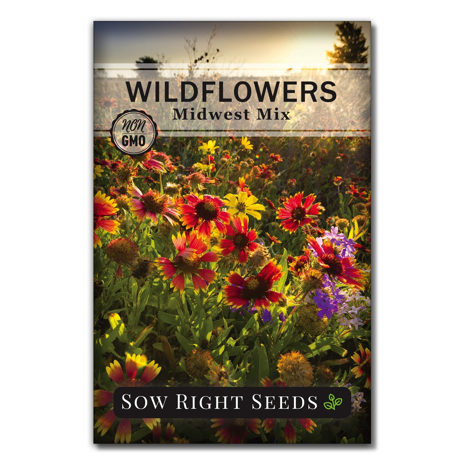 Midwest Wildflowers Seeds Mix Non-GMO Heirloom Perennial Annual Pollinators