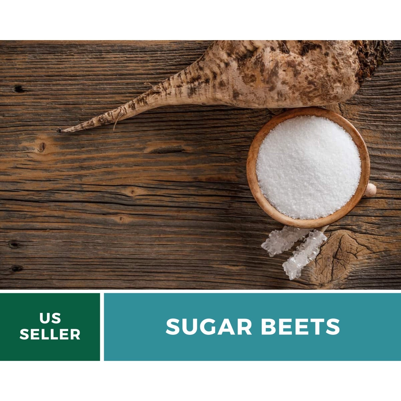 Beet, Sugar – 50 Seeds, Heirloom Vegetable (Beta vulgaris)