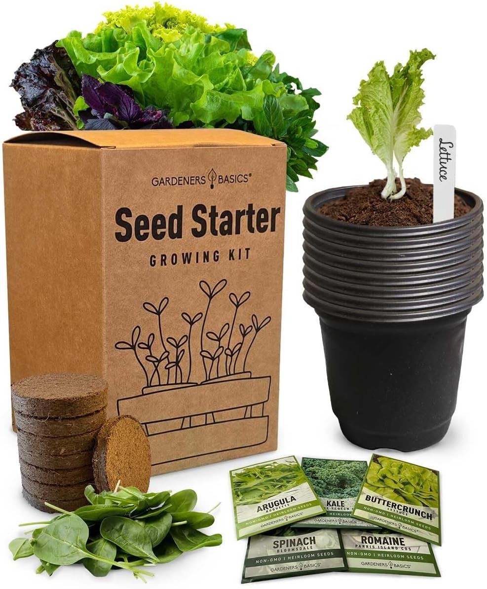 Beginner Indoor Garden Lettuce Kit – Includes Romaine, Buttercrunch Lettuces,…