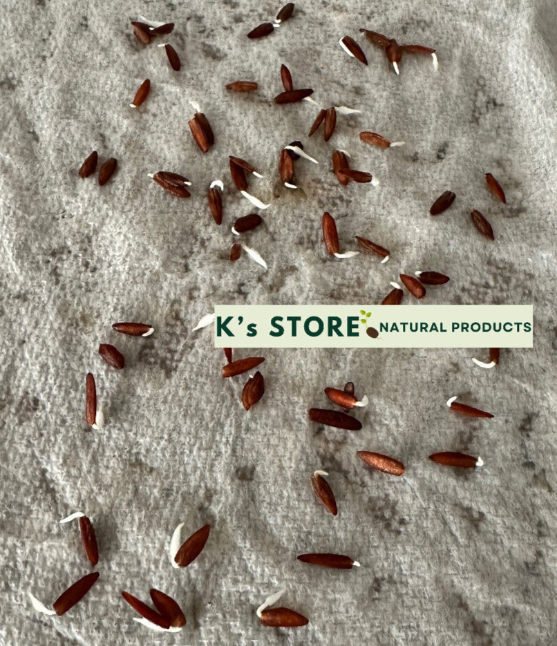 RIVER LEAF VINE SEEDS , HAT LÁ GIANG |HIGH GERMINATION RATE 85%|