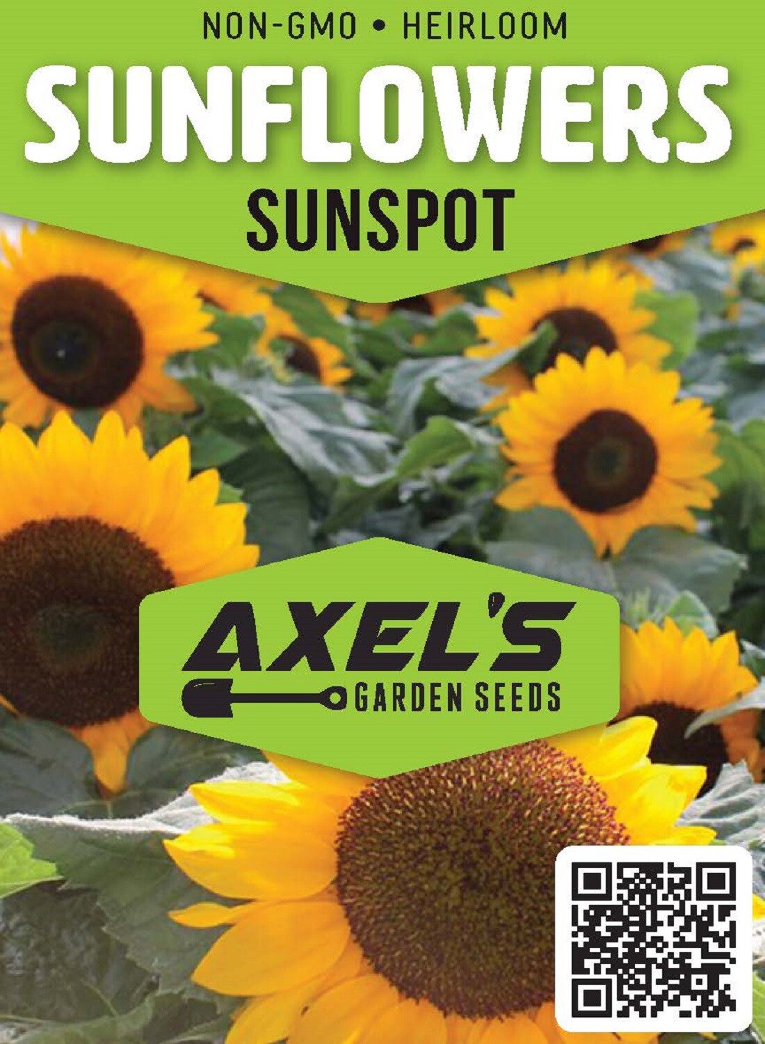 Bulk Sunflower Seeds for Planting – Heirloom NonGmo Flower Seeds for Home Garden