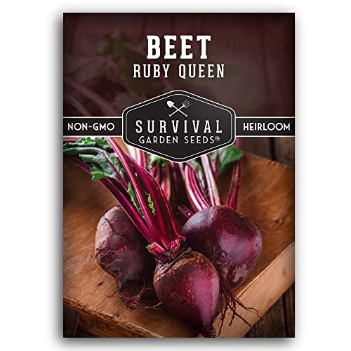 Ruby Queen Beet Seeds for Planting – Deep Red Beets for Garden Growing 1