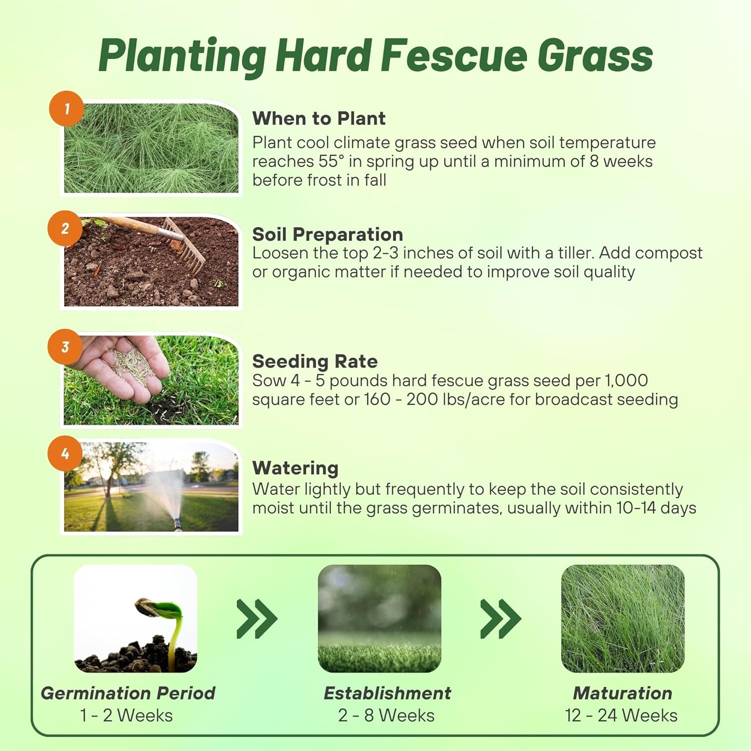 5 LBS – OptiGrowth Coated Hard Fescue Grass Seed – Low Growing Fine Fescue