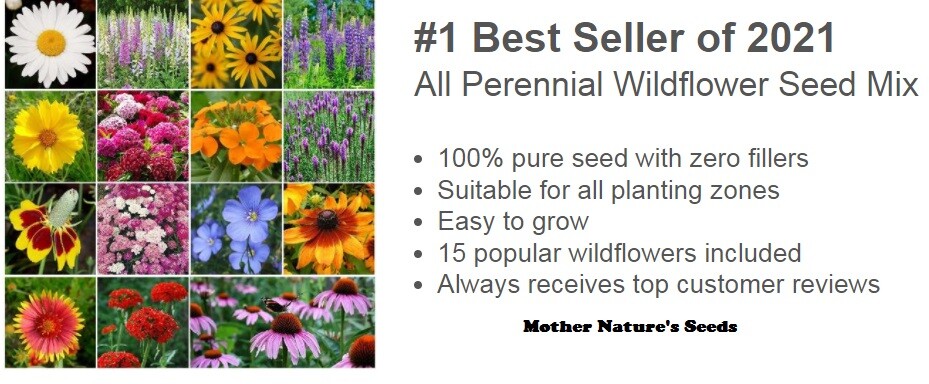 Bulk Pack ALL PERENNIAL WILDFLOWERS Fall or Spring Planting Non-GMO 3000+ Seeds