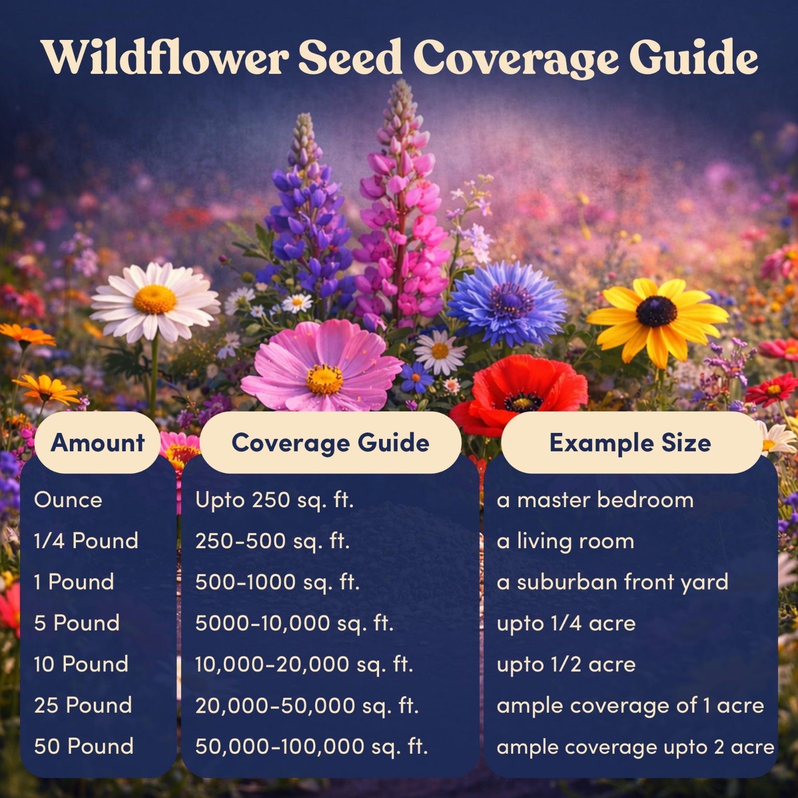 Bulk Wildflower Seed Shaker – 900,000+ Perennial Flower Seeds Mix, 1 lb Tub, Pla