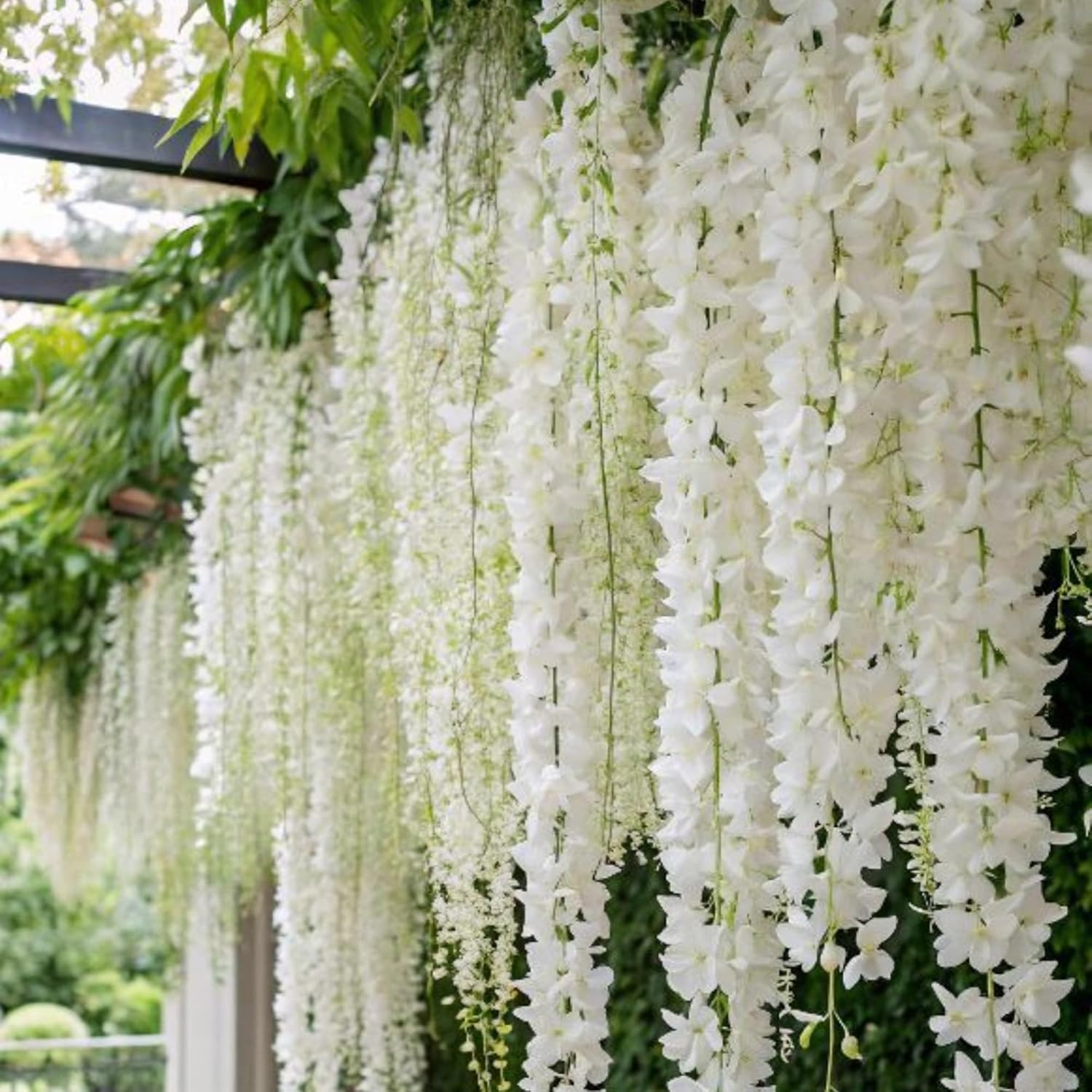 400+ Jasmine Seeds Climbing Fragrant Flower Four Seasons Garden Plant