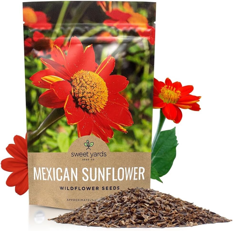 Bulk Quarter Pound Bag of Mexican Sunflower Seeds – 10,000+ Non-GMO Wildflowe…