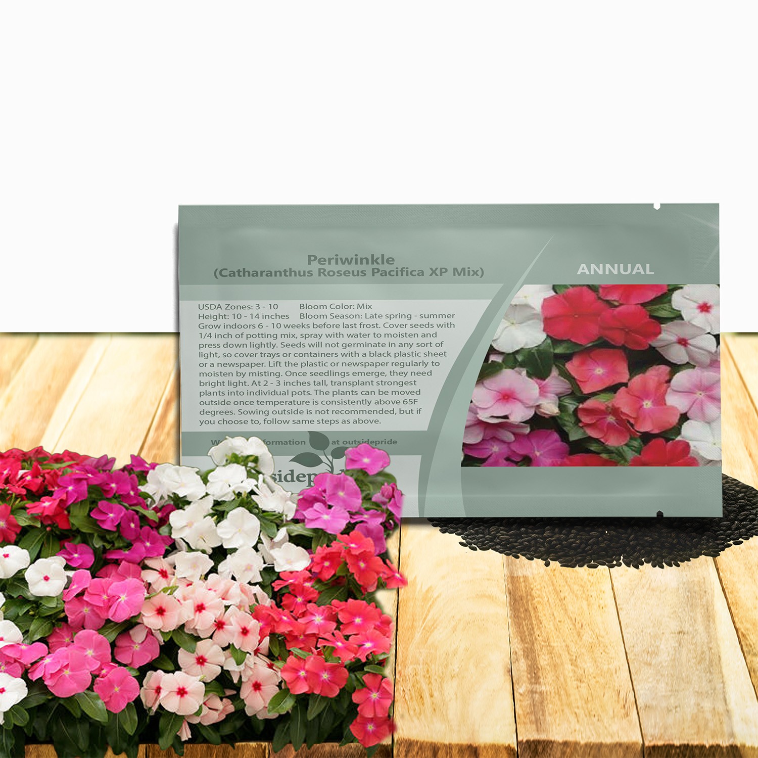 100 Seeds Drought Tolerant Periwinkle Flower Seed & Ground Cover Plant Mix