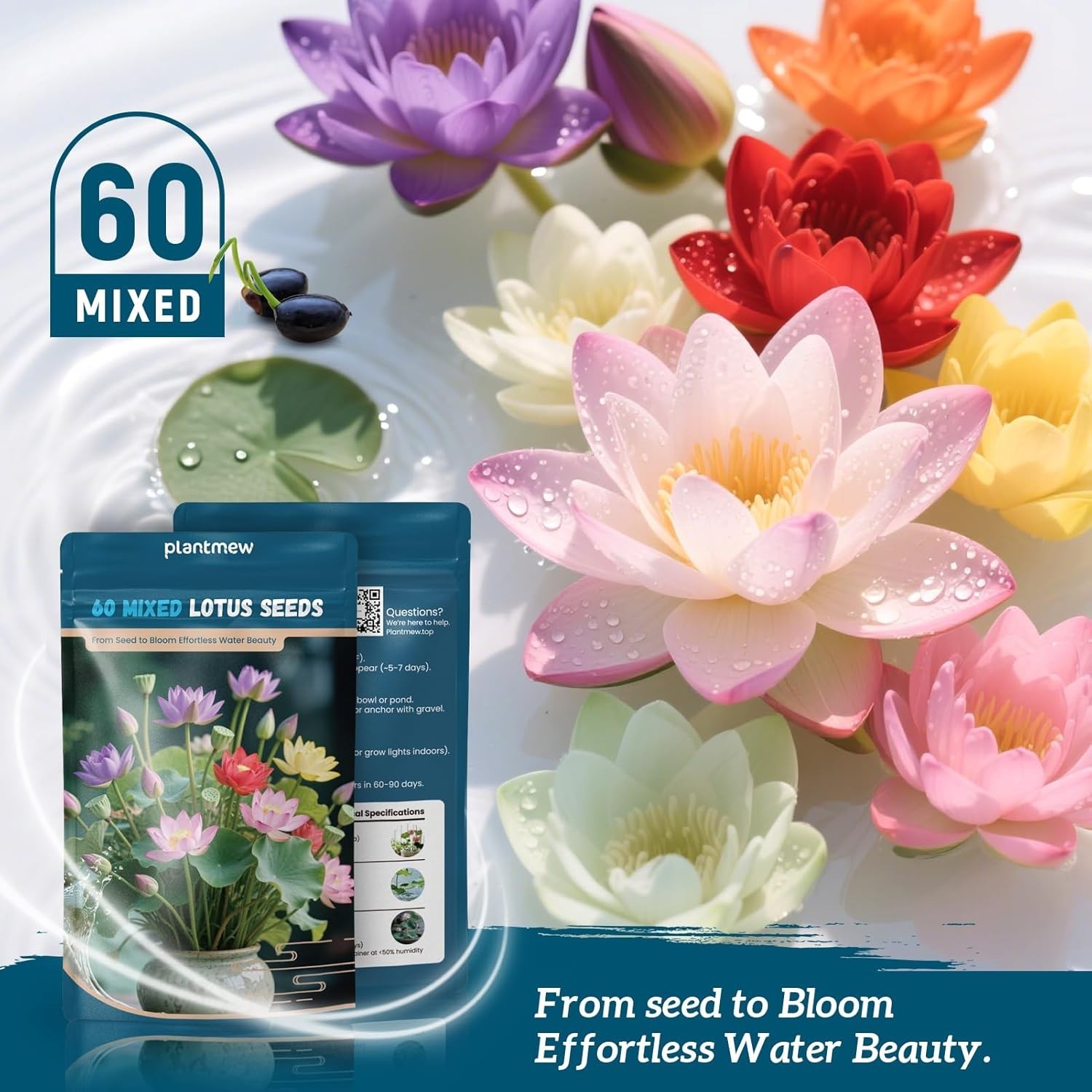 Water Lotus Seeds for Planting, 60 Mixed Bowl Lotus Seeds, Water Lily, Pond