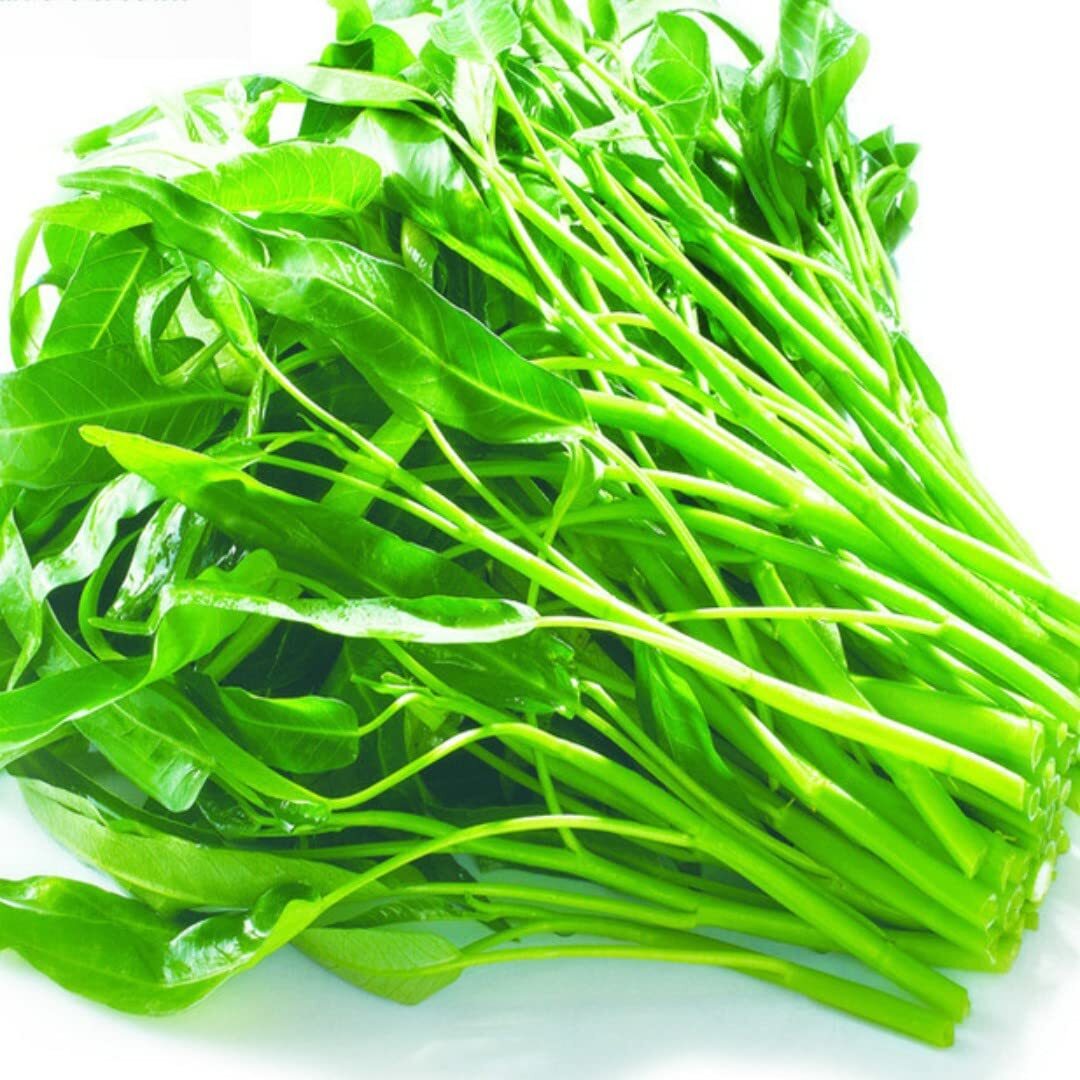 The Rike 2000 Kangkong Seeds, Ong Choy, Rau Muong Swamp Cabbage tangkong kangkun