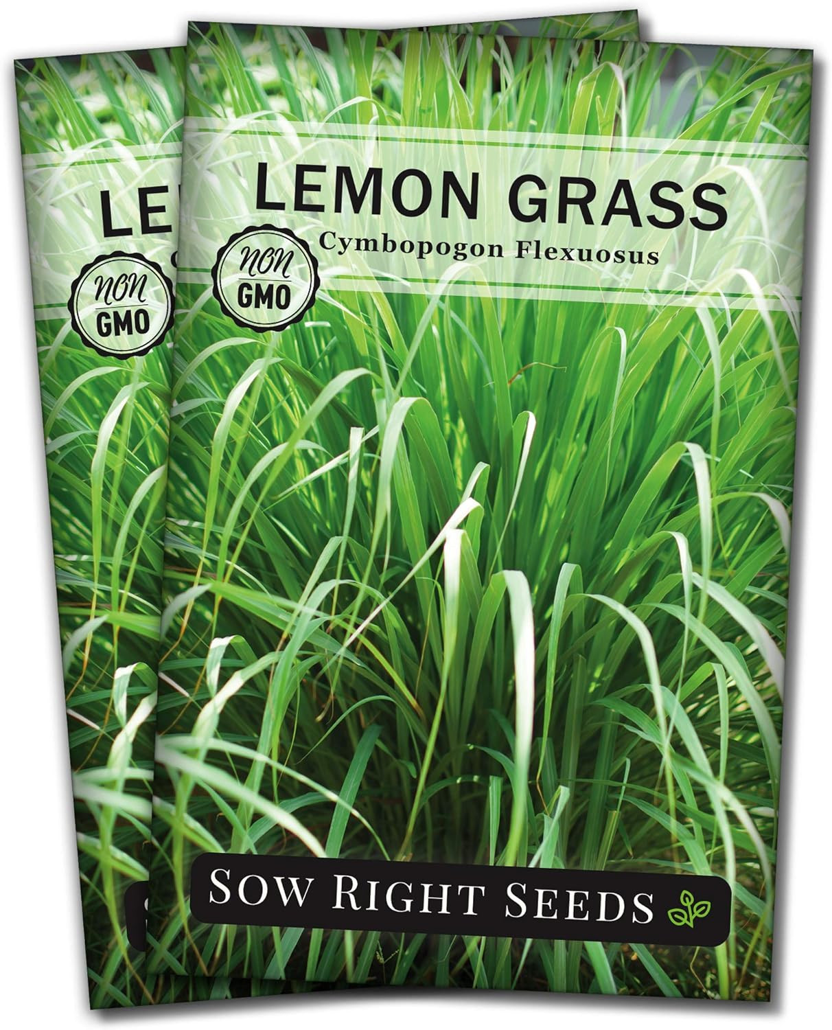 Sow Right Seeds – Lemon Grass Seeds for Planting – Non-GMO Heirloom – East India