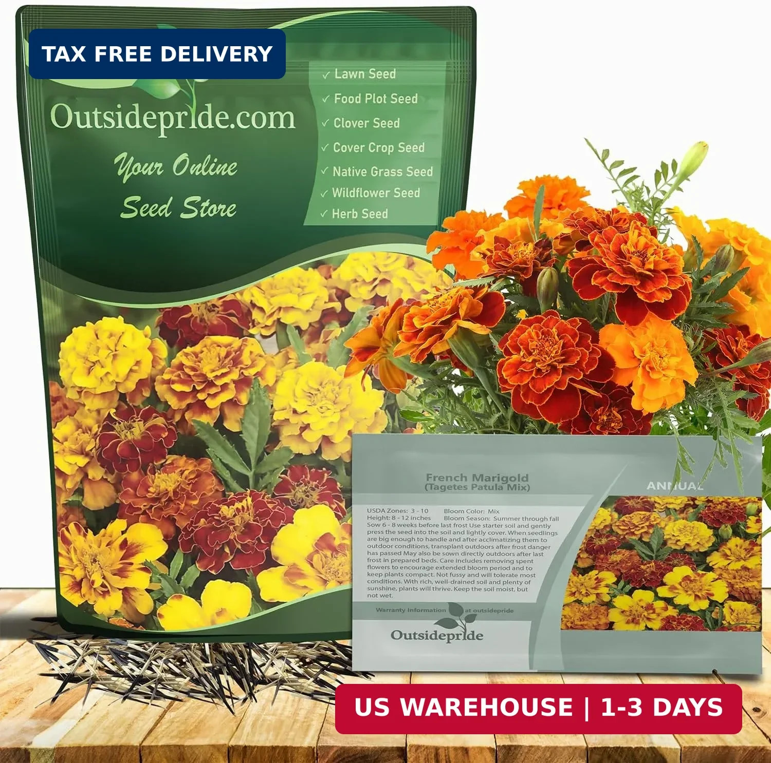 Outsidepride French Marigold Seeds Mix – 1000 Pcs Annual, Compact, Heat & Drough